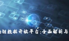 区块链数据开放平台：全面解析与推荐